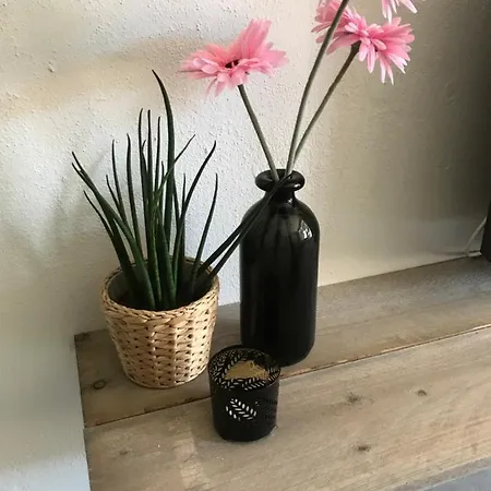 Sous Aan Zee Appartement