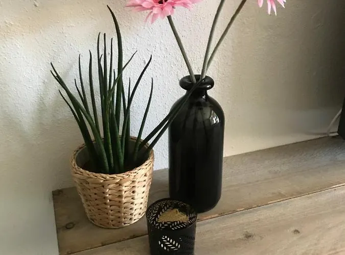 Sous Aan Zee Apartmán